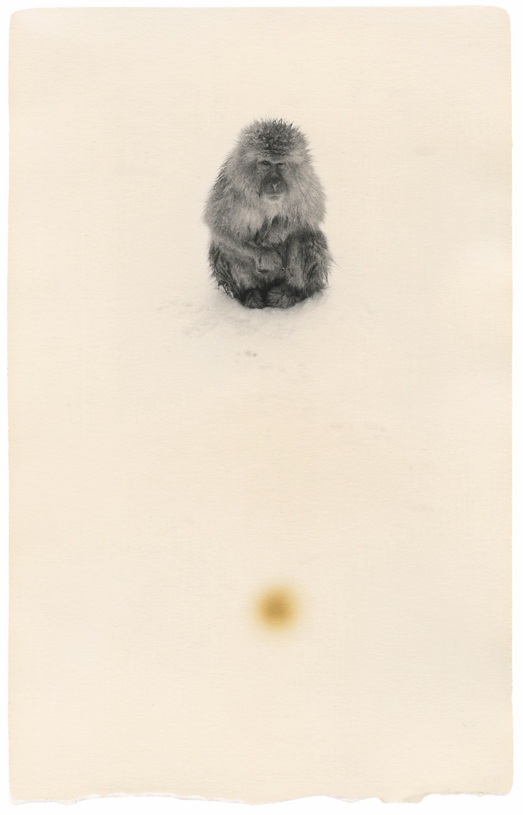 Yamamoto Masao Saru 01